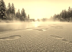Szary + Sepia