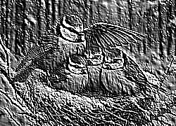 Skamielina