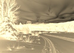 Sepia + Negatyw