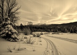 Sepia