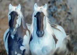 Negatyw