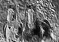Skamielina