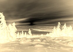 Sepia + Negatyw