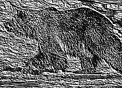 Skamielina