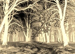 Sepia + Negatyw