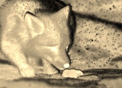 Sepia + Negatyw