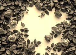 Szary + Sepia