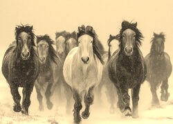 Sepia