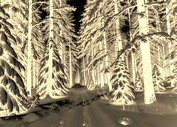 Sepia + Negatyw
