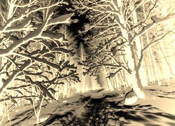 Sepia + Negatyw