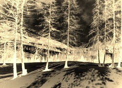 Sepia + Negatyw