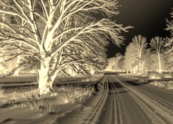 Sepia + Negatyw