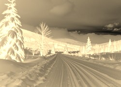 Sepia + Negatyw