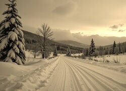Sepia