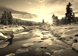 Sepia