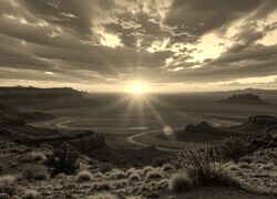 Sepia