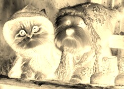 Sepia + Negatyw