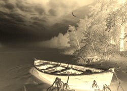 Sepia + Negatyw