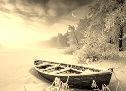 Szary + Sepia