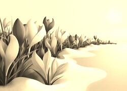 Szary + Sepia