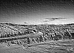 Skamielina