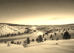 Szary + Sepia