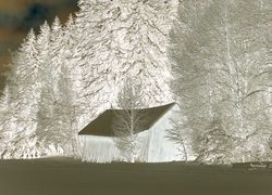 Negatyw
