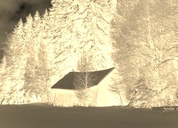 Sepia + Negatyw