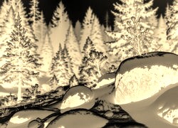 Sepia + Negatyw