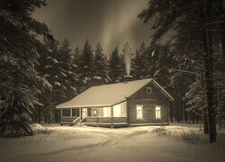 Szary + Sepia