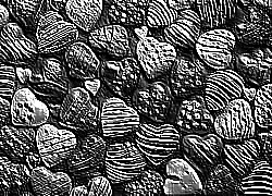 Skamielina