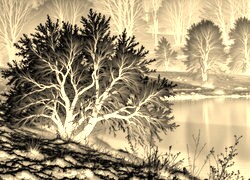 Sepia + Negatyw