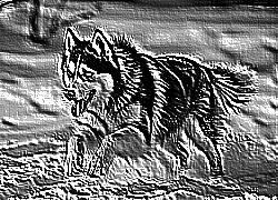 Skamielina
