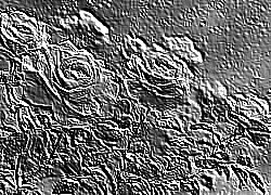 Skamielina