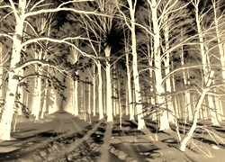 Sepia + Negatyw