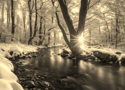 Sepia