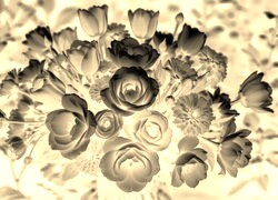 Sepia + Negatyw