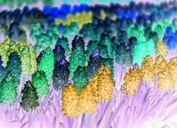 Negatyw