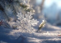 Oryginalny obrazek