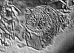 Skamielina