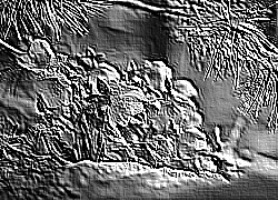 Skamielina