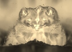 Sepia + Negatyw
