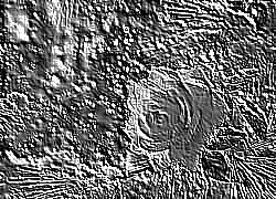 Skamielina