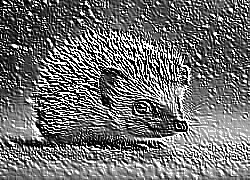 Skamielina