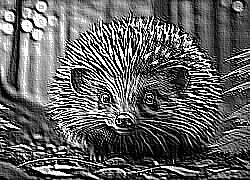 Skamielina