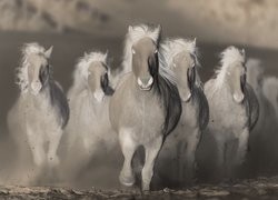 Negatyw