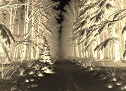 Sepia + Negatyw