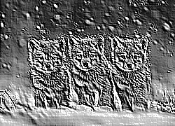 Skamielina