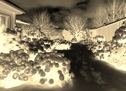 Sepia + Negatyw