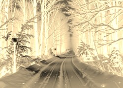Sepia + Negatyw